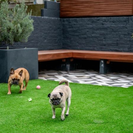 Bed and Breakfast Doghouse Маргит Экстерьер фото