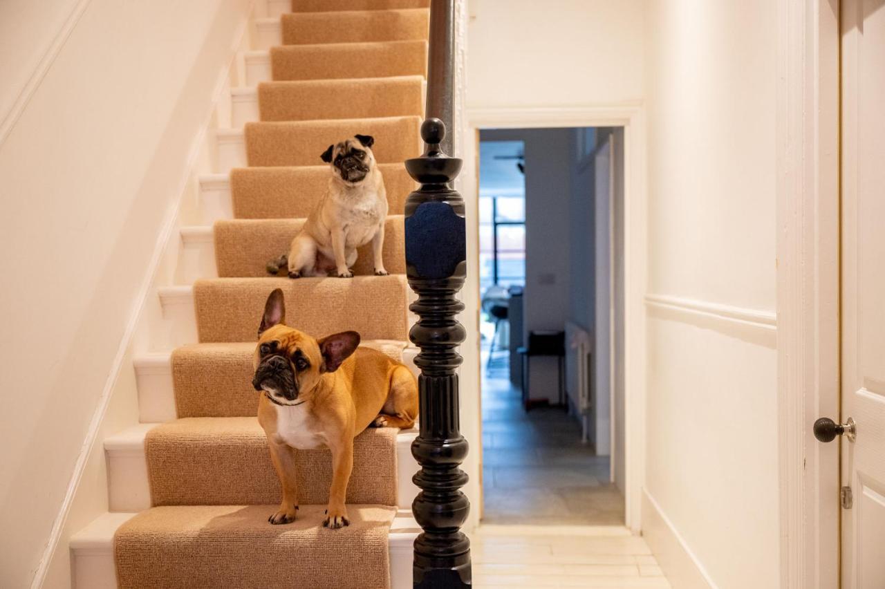 Bed and Breakfast Doghouse Маргит Экстерьер фото