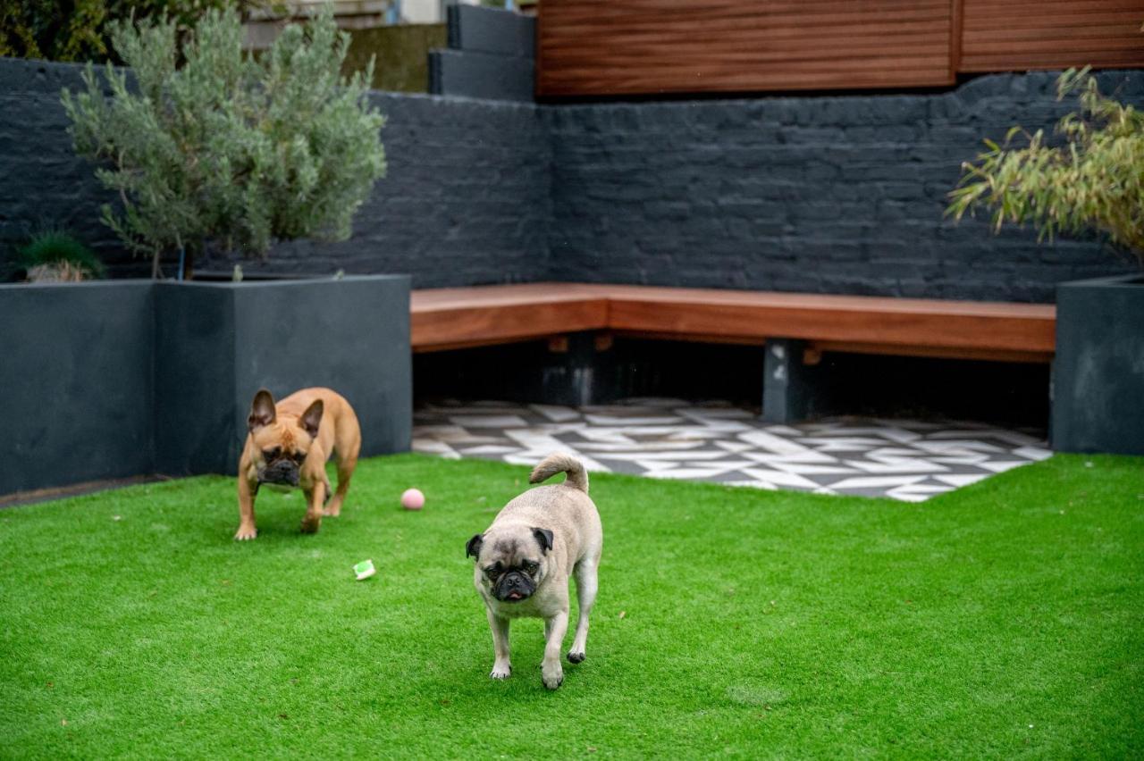 Bed and Breakfast Doghouse Маргит Экстерьер фото